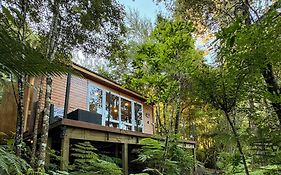 Fantail Bush Chalet And Hot Tub